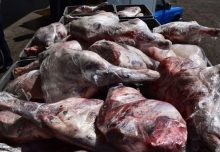 شناسایی شبکه توزیع گوشت‌های فاسد در فردیس
