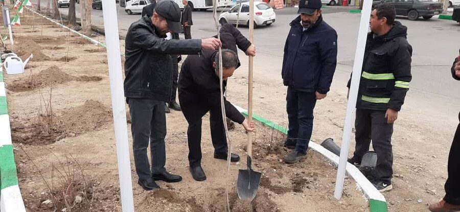 سرای محله حیدرآباد و خیابان نهم شاهین‌ویلا افتتاح شد/کاشت نهال توسط مسئولان