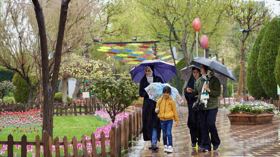 لاله‌های باغ گل‌های کرج زیر چتر باران بهاری