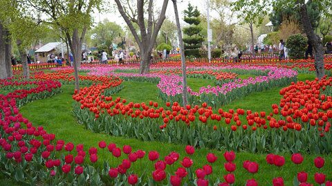 یازدهمین جشنواره لاله های کرج عصرها در جشنواره لاله ها