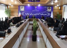 بسته تشویقی فرمانداری فردیس برای بانوان شاغل شهرستان
