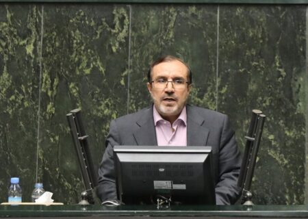 حدادی: کمبود کالاهای اساسی ناشی از انحصار است