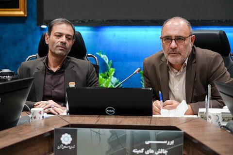 راهکارهای هماهنگی نماها در کرج بررسی شد/هر نما داستانی از هویت شهری