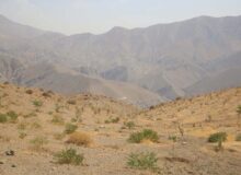 تامین آب جنگلکاری بیجی با احداث مخازن ۳۰۰۰ مترمکعبی