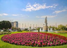 پاییز کرج با شکوفایی گلهای داوودی بهاری شد