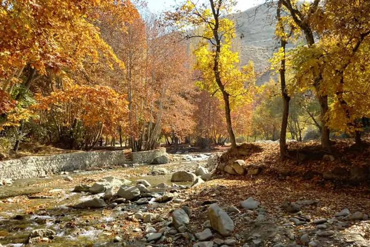 برغان در مسیر جهانی شدن؛ ترکیب طبیعت بکر و میراث فرهنگی