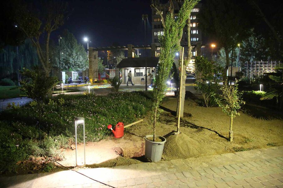 آتش‌نشانان کرجی در پارک ملی ایران کوچک سرو ایثار کاشتند