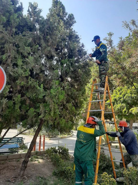 طرح احیای سبز در منطقه ۸ کرج به اجرا درمی‌آید