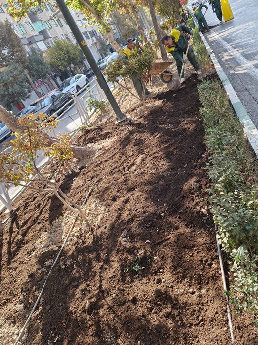 طرح احیای سبز در منطقه ۸ کرج به اجرا درمی‌آید