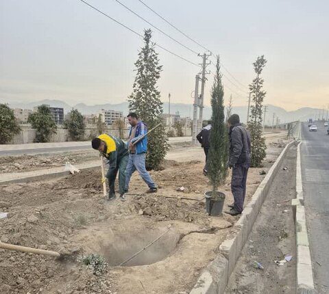 کمربندی مهرشهر احیاء می‌شود/ اجرای طرح گسترده درختکاری و ایجاد باند سبز
