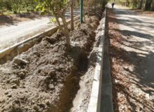 اجرای روش آبیاری قطره‌ای زیرسطحی در نهالستان بزرگ کرج به‌صورت پایلوت