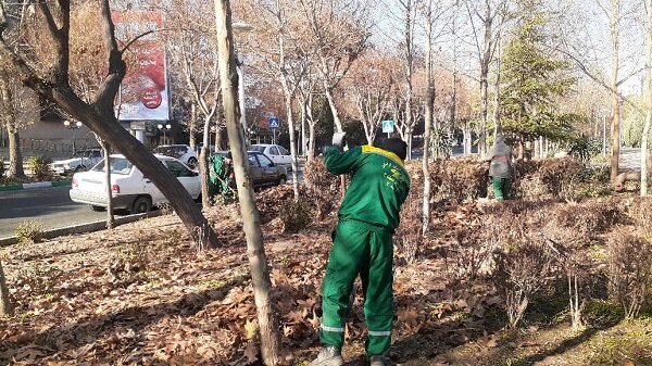 انجام روزانه عملیات برگ‌روبی در منطقه ۴ کرج / آماده‌باش کامل برای بارندگی‌ها