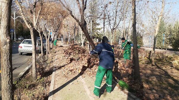 انجام روزانه عملیات برگ‌روبی در منطقه ۴ کرج / آماده‌باش کامل برای بارندگی‌ها