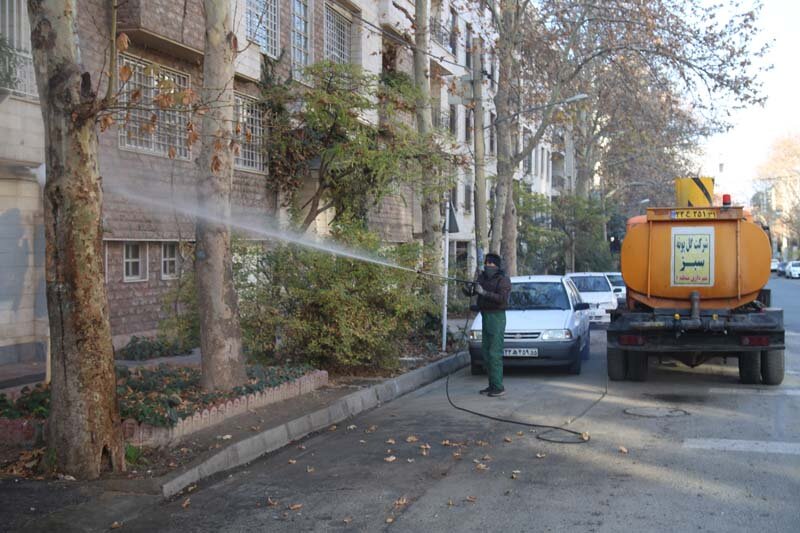 اجرای عملیات محلول پاشی درختان چنار کرج