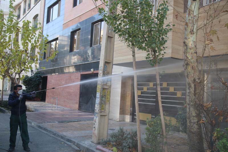 اجرای عملیات محلول پاشی درختان چنار کرج
