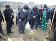 کاشت درخت به یاد «پدر امت و رهبر شهید ایران»
