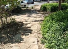 بلوار یاسمین رنگ تازه می‌گیرد