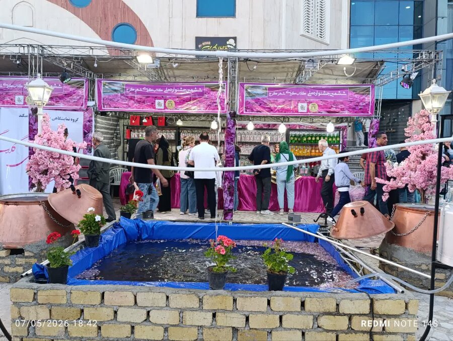 کرج میزبان ششمین جشنواره ملی گلابگیری شد