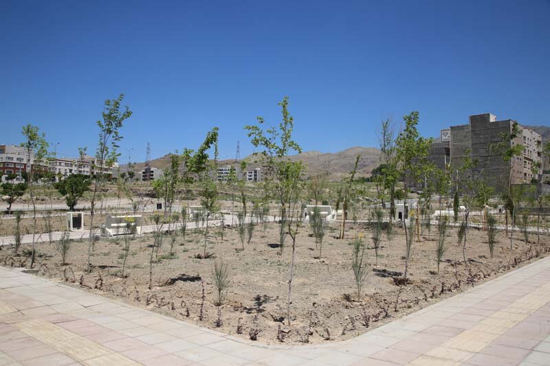 ۳هزار درخت و درختچه در پارک پرواز کاشته شد