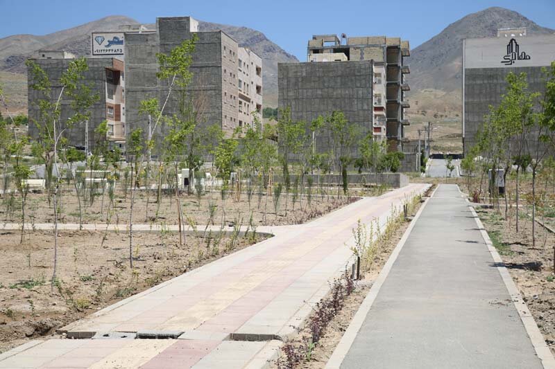 ۳هزار درخت و درختچه در پارک پرواز کاشته شد