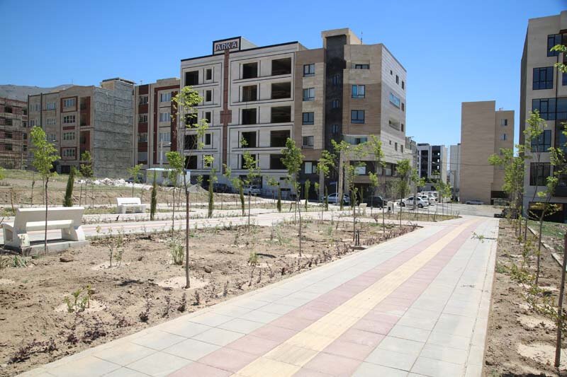 ۳هزار درخت و درختچه در پارک پرواز کاشته شد