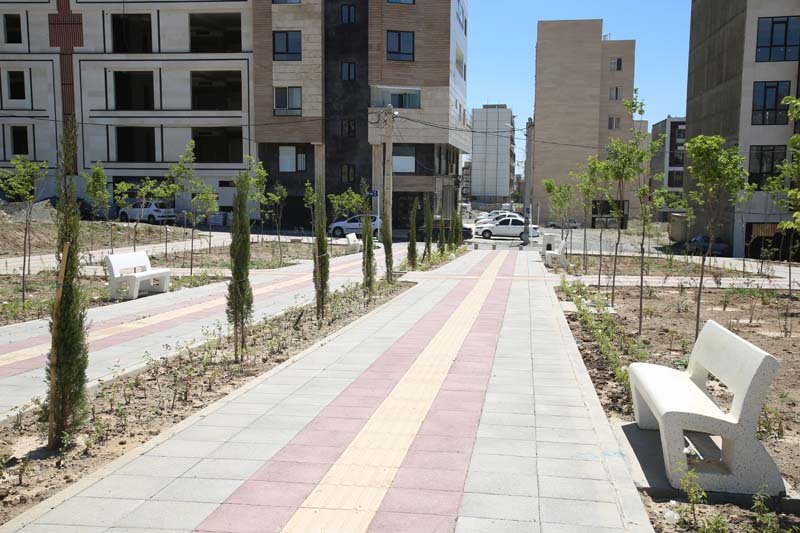 ۳هزار درخت و درختچه در پارک پرواز کاشته شد