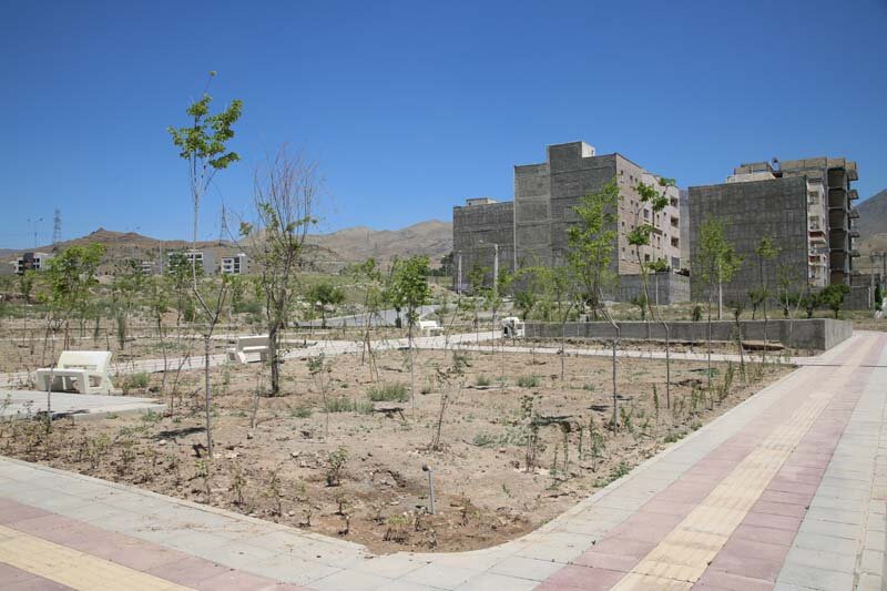 ۳هزار درخت و درختچه در پارک پرواز کاشته شد