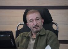 ساماندهی سگ‌های بلاصاحب نیازمند همکاری دستگاه‌های مسئول است