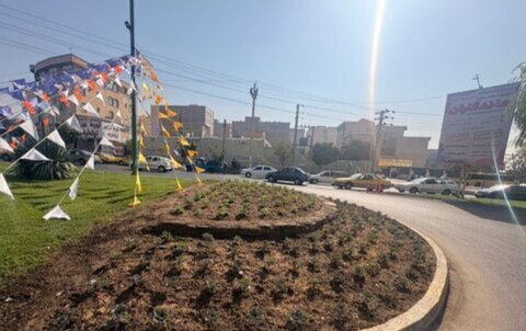 کاشت چهل‌ویک هزار و ۷۰۰ گلدان گل پاییزه در منطقه ۱ کرج در طرح استقبال از مهر