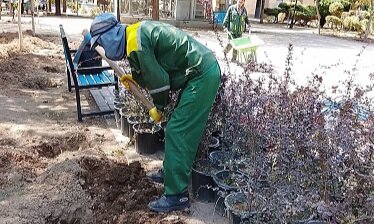 منطقه ۹ شهرداری کرج به استقبال از مهر رفت/آماده باش مدیریت شهری برای بازگشایی مدارس
