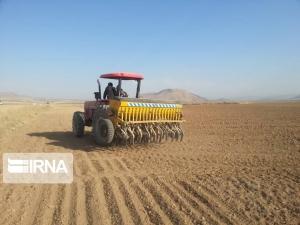 ١٨ هزار هکتار اراضی کشاورزی البرز زیر کشت پائیزه می رود
