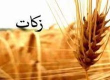 جمع‌آوری ۶۳ میلیارد تومان زکات مستحبی و واجب در استان البرز