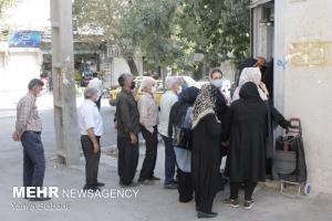 مرغ از البرز پر کشید