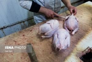 بازداشت فروشنده گوشت و مرغ دولتی در بازار آزاد