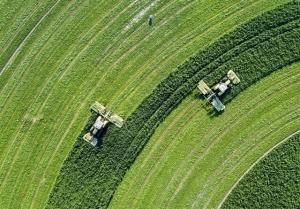 هلند با وسعتی برابر گلستان و مازندران دومین صادرکننده محصولات کشاورزی است