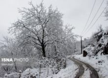 بارش برف و باران در ارتفاعات البرز ادامه دارد