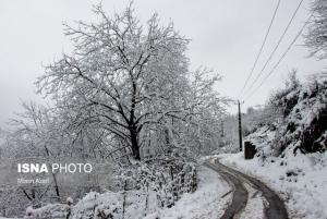 بارش برف و باران در ارتفاعات البرز ادامه دارد