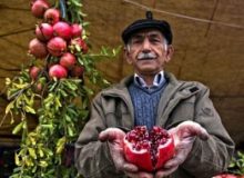 جشنواره «انار» در پارک ایران کوچک برگزار می‌شود