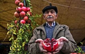 جشنواره «انار» در پارک ایران کوچک برگزار می‌شود