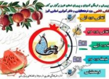 پویش مجازی «  یلدای فاطمی » در مدارس البرز راه اندازی شد