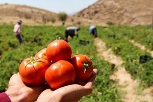 نگذارید برگشت محصولات ایران به کشورهای حوزه خلیج فارس هم سرایت کند