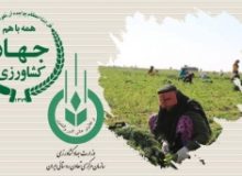 تعاون روستایی البرز امتیاز عالی کشوری را کسب کرد