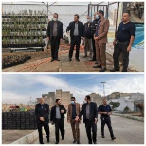 بازدید رئیس و اعضای شورای اسلامی شهر هشتگرد از مرکز تولیدات گیاهی