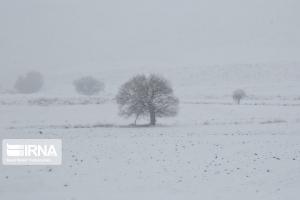 کولاک و یخبندان در راه البرز است