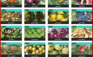 قائم مقام وزیر جهاد کشاورزی: توسعه باغبانی دیم را در اولویت قرار دهیم