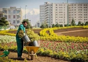 منطقه شش به استقبال بهار می‌رود