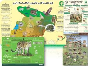 پوسترهای اینفوگرافی تنوع زیستی و جانوری البرز در فضای مجازی منتشر شد