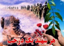 خیرین مدرسه ساز البرز به یاد شهدا نهال کاشتند