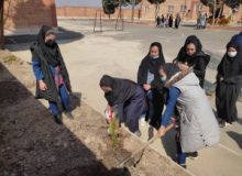 مراسمات اولین روز هفته منابع طبیعی در روستاهای شهرستان چهارباغ برگزار گردید