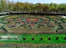 برپایی هشتمین جشنواره لاله شهرکرج از ۱۵فروردین